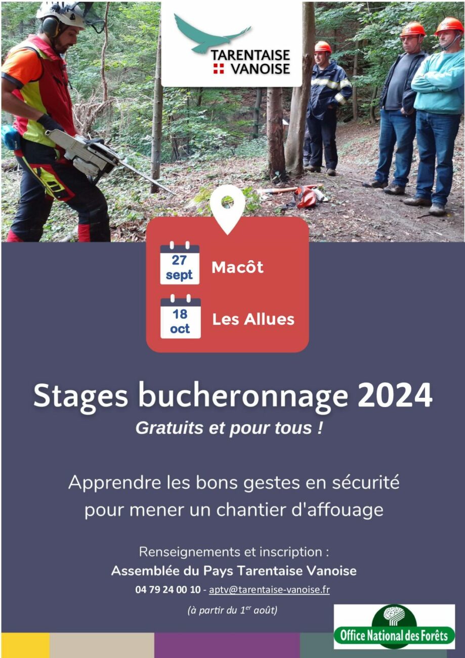 Stages de bucheronnage 2024